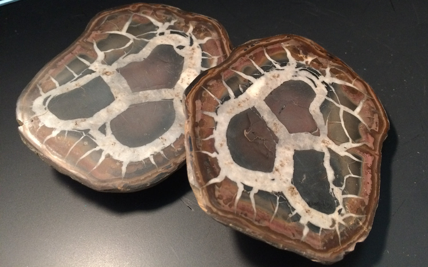 Septarian