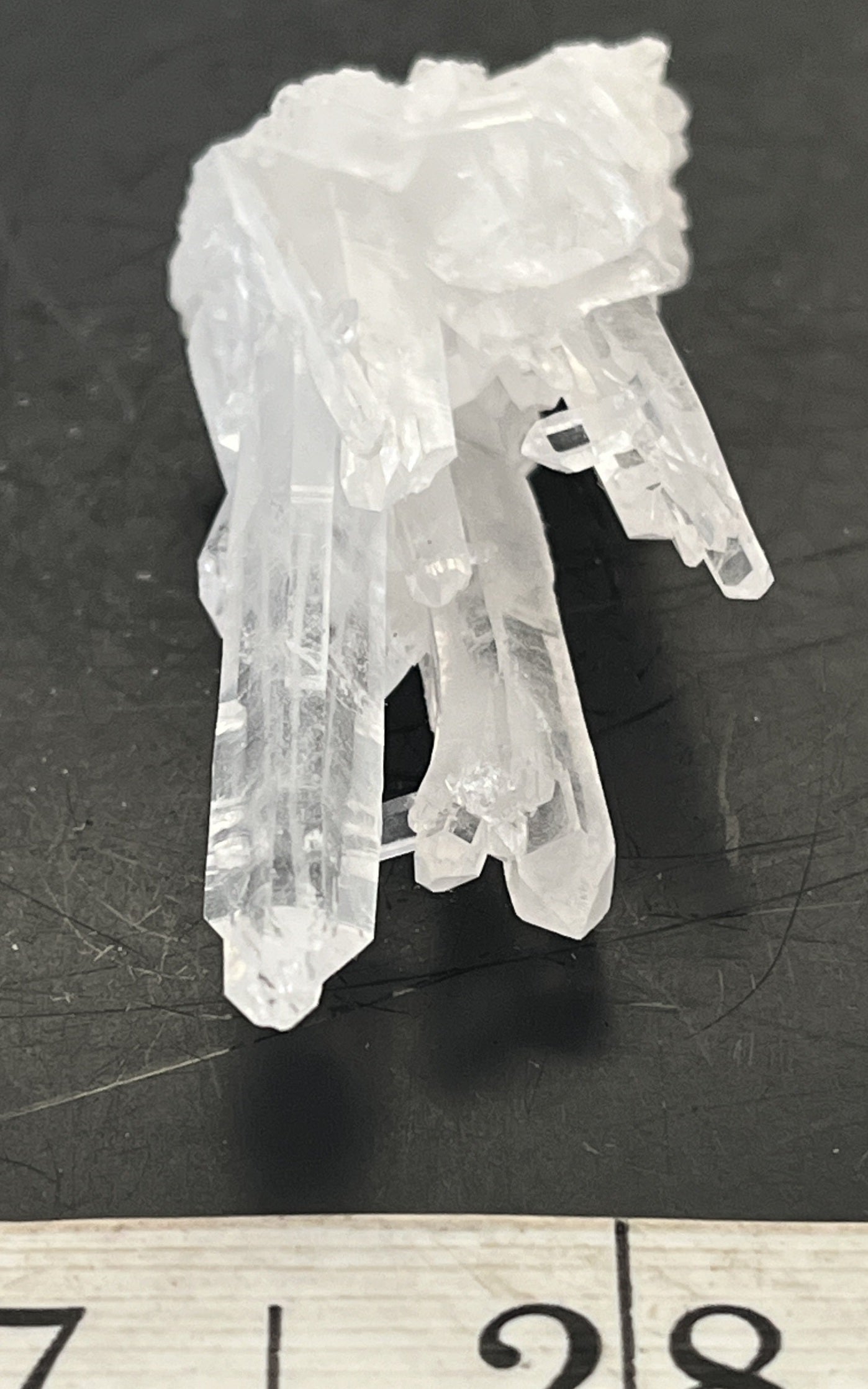 Faden Quartz