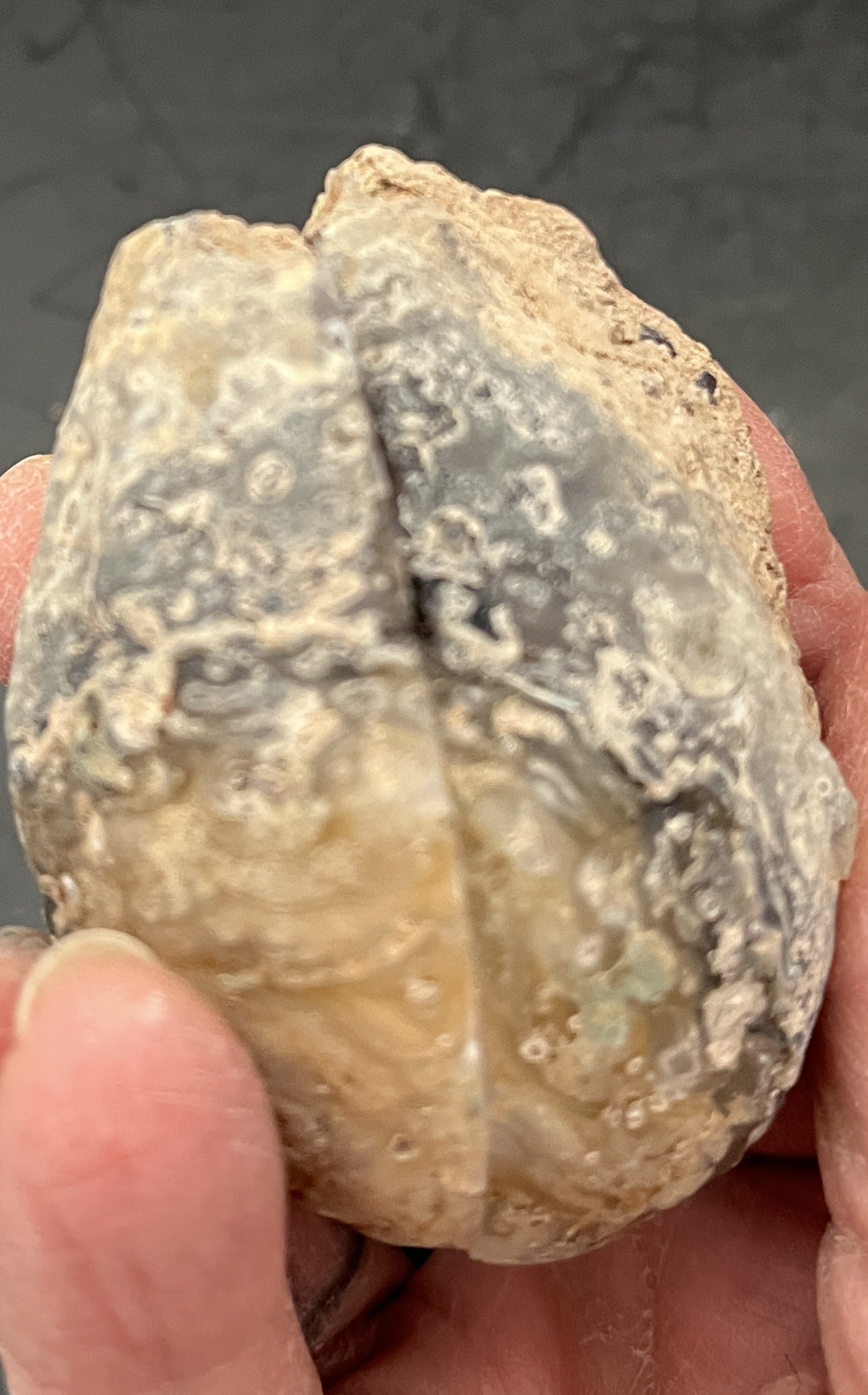 Oco Geode Pair 4