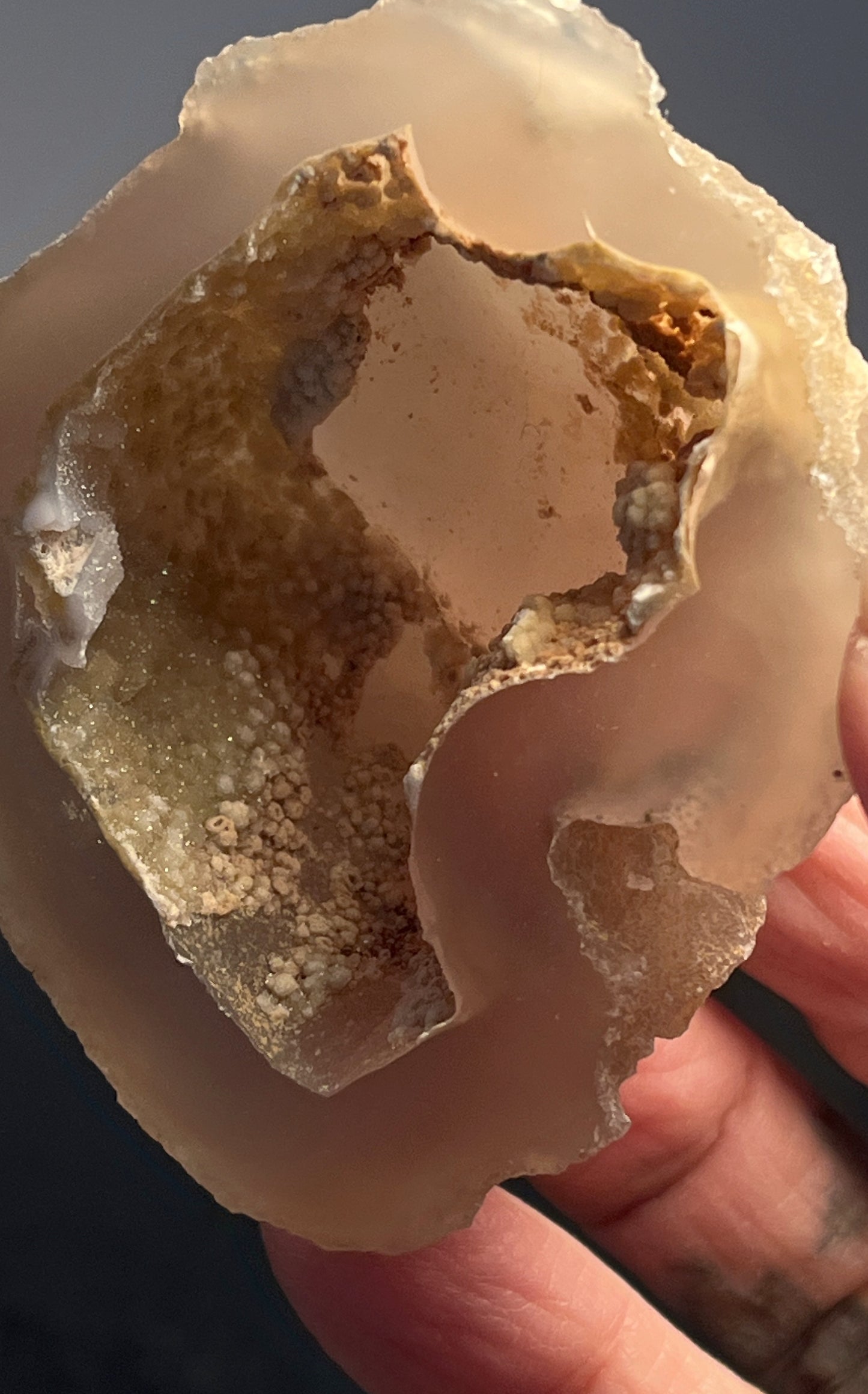 Agate Geode Half 051