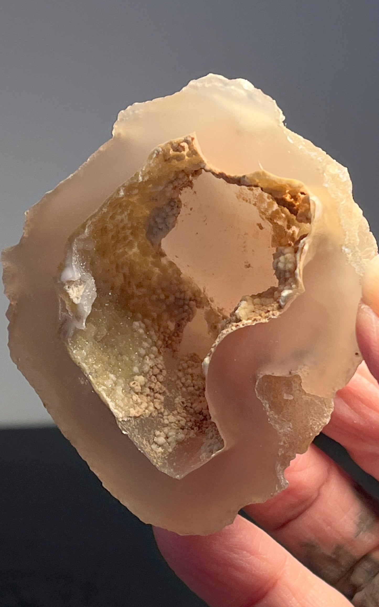 Agate Geode Half 051