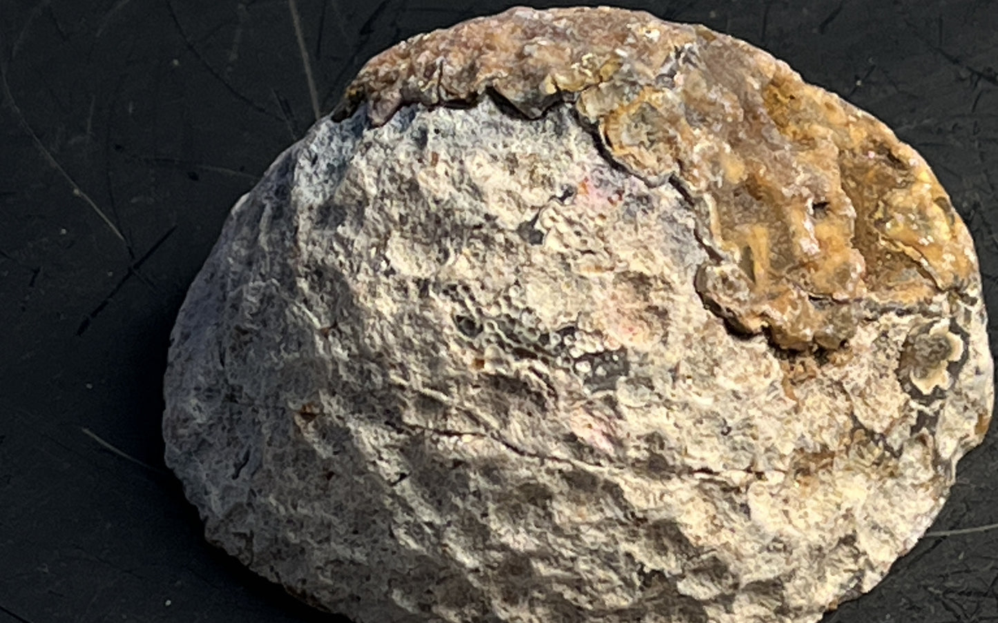 Agate Geode Half 052