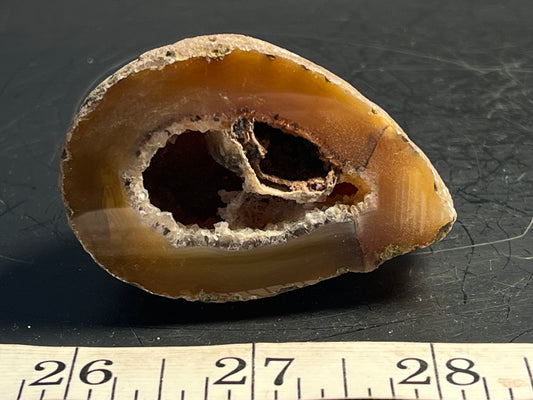 Agate Geode Half 056