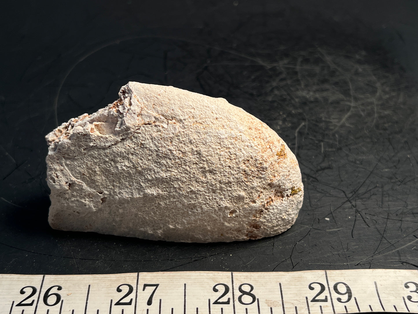 Agate Geode Half 057