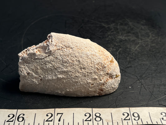 Agate Geode Half 057