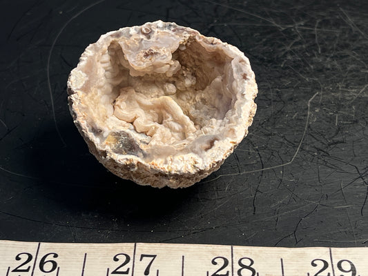 Agate Geode Half 061