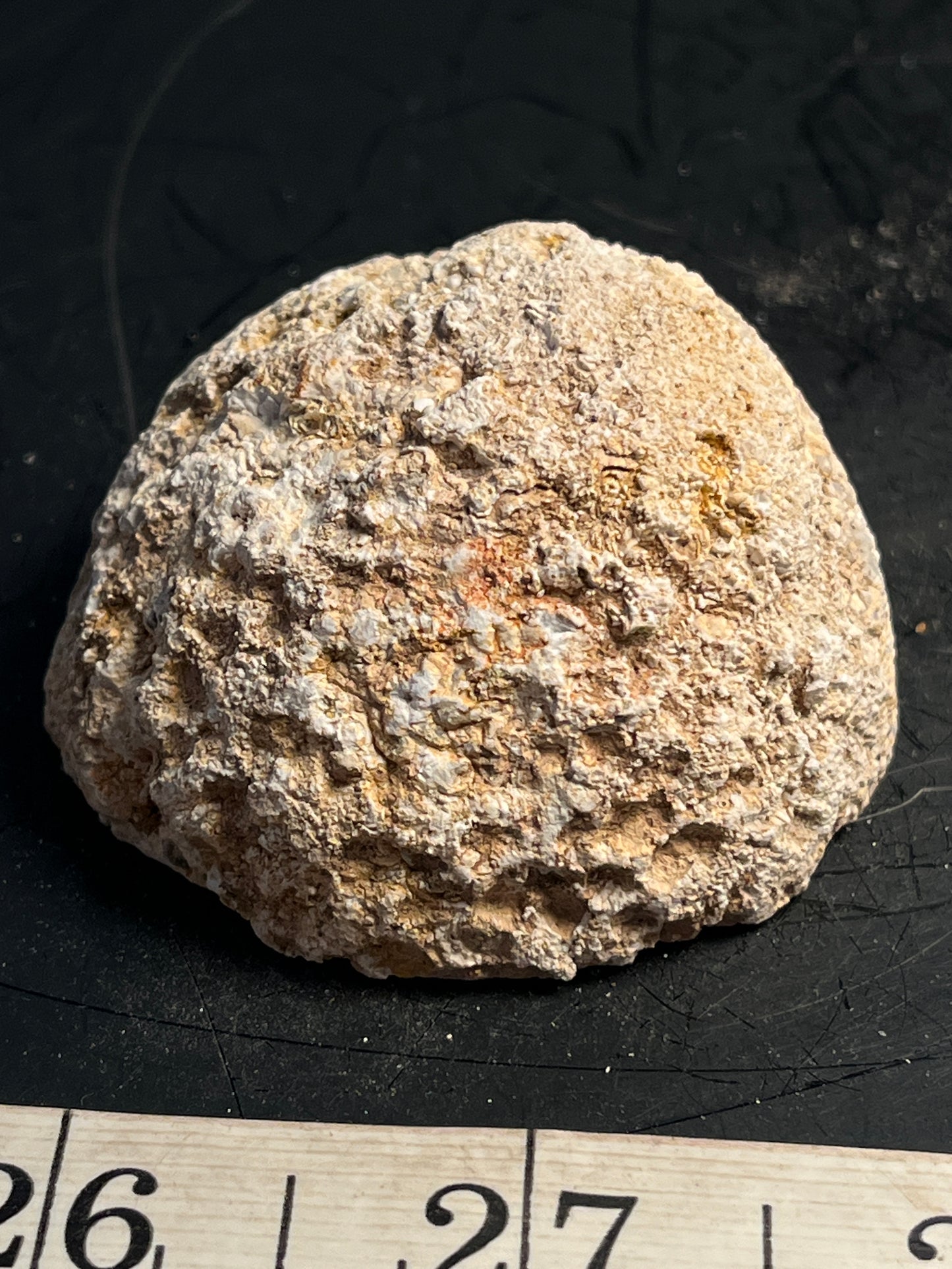 Agate Geode Half 061