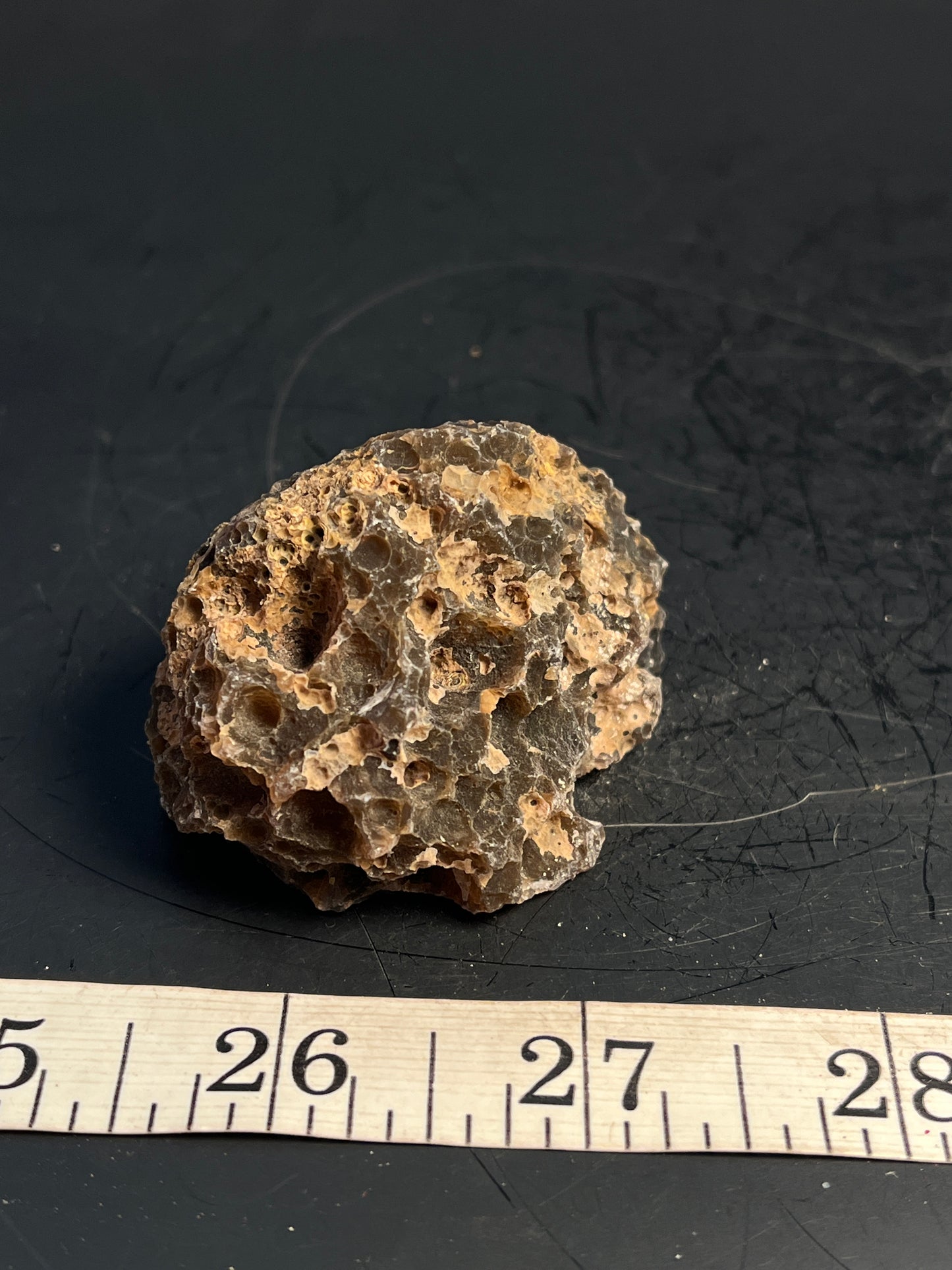 Agate Geode Half 065