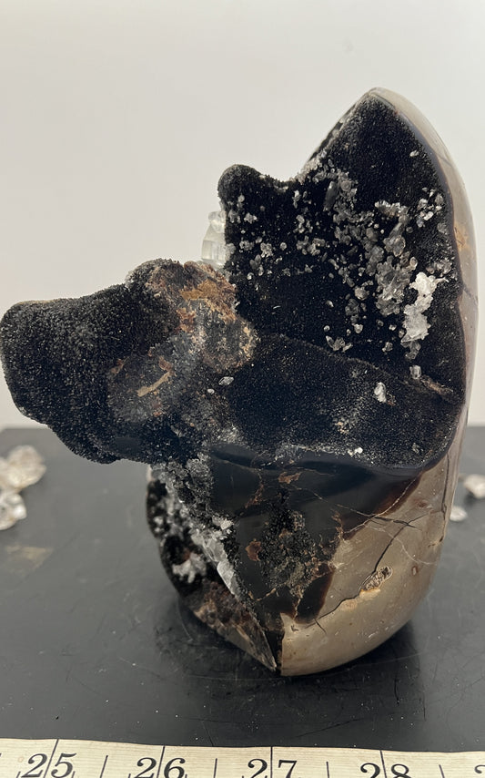 Septarian  Geode with Barite & Calcite 42 - Madagascar