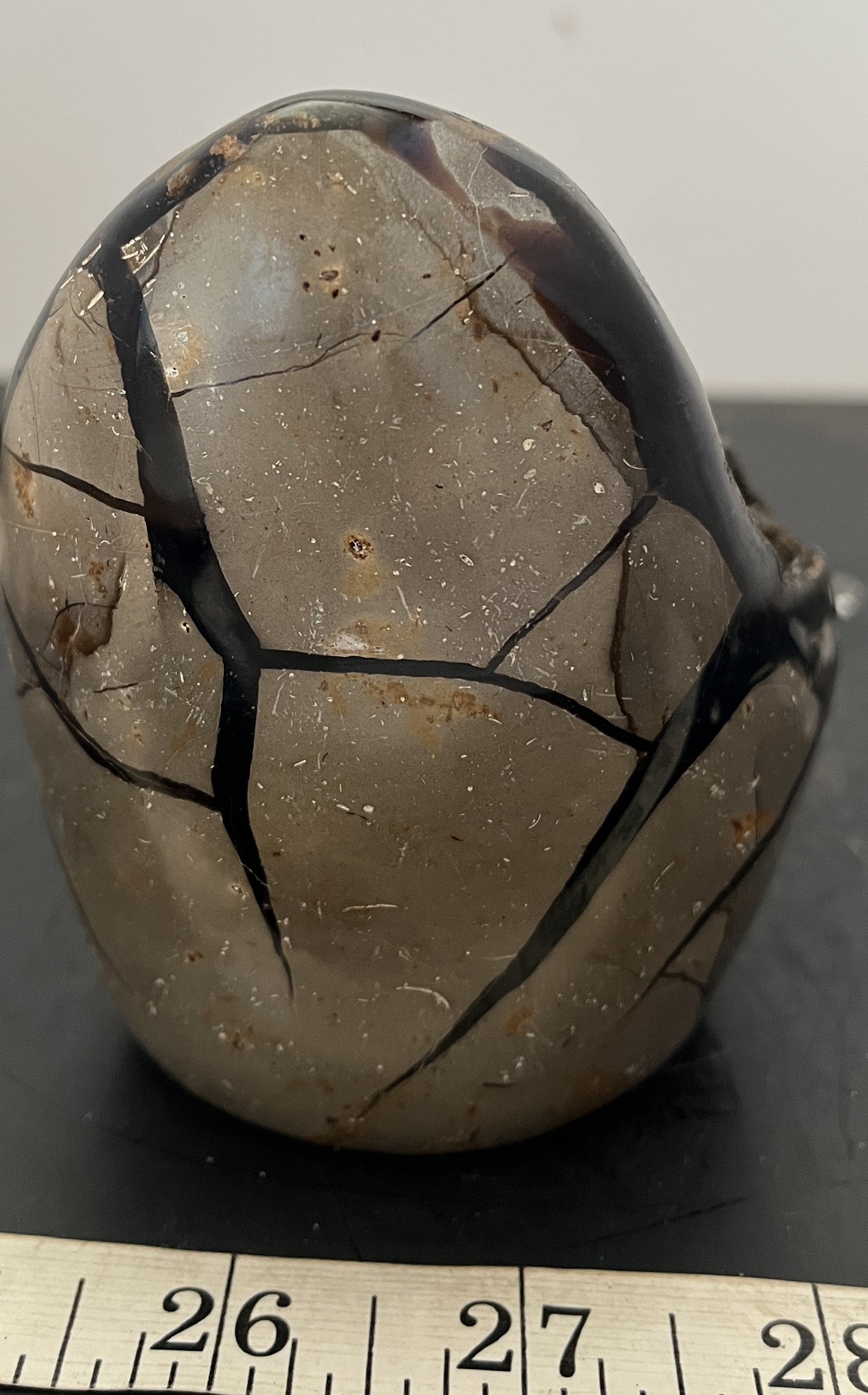 Septarian Geode with Barite & Calcite 43 - Madagascar