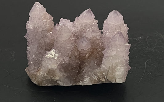 Cactus Amethyst 002