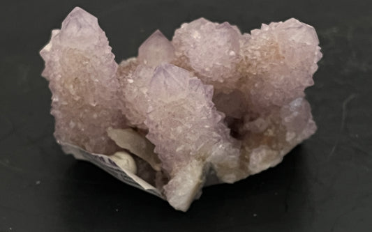 Cactus Amethyst 002