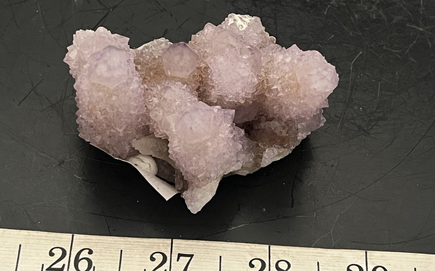 Cactus Amethyst 002