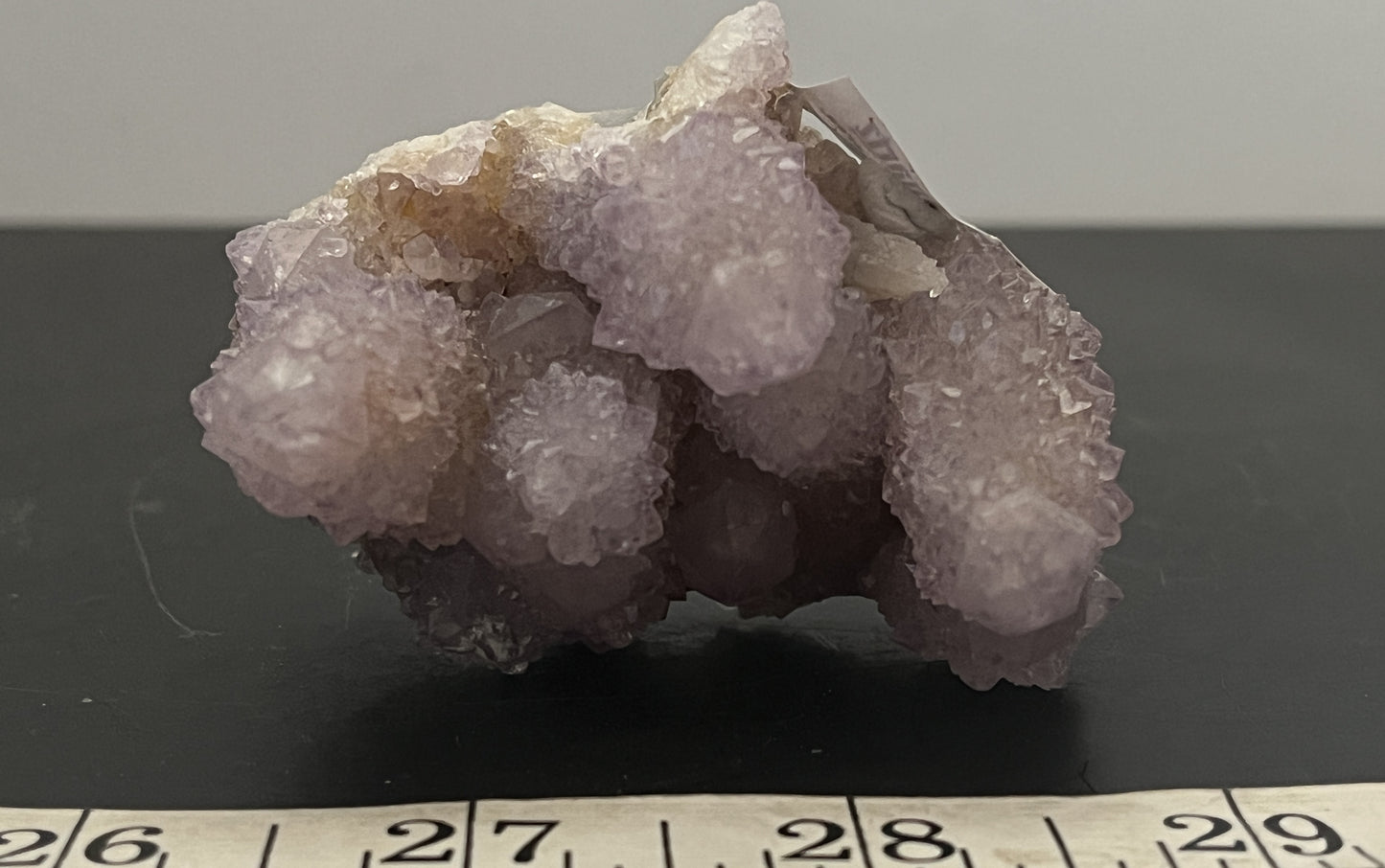 Cactus Amethyst 002