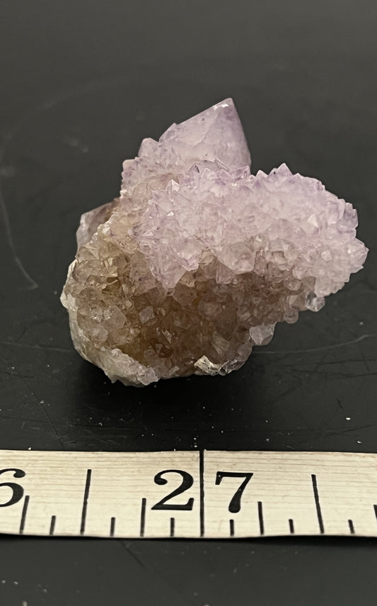 Cactus Amethyst 005