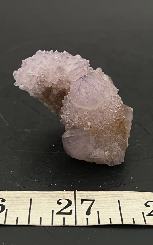Cactus Amethyst 005