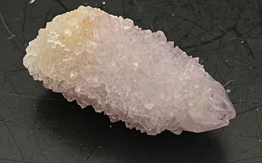 Cactus Amethyst 006