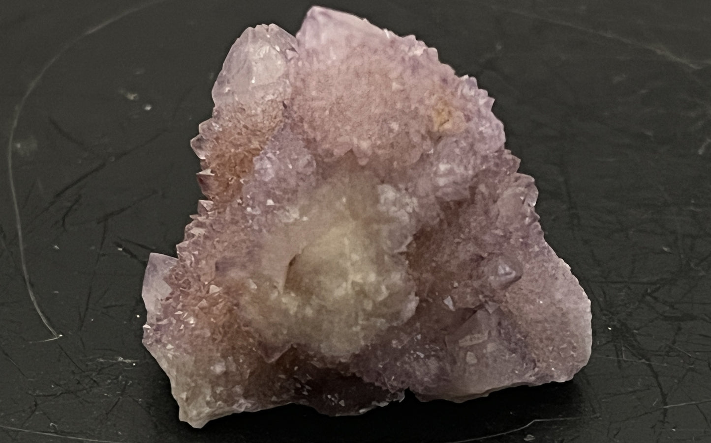 Cactus Amethyst 007