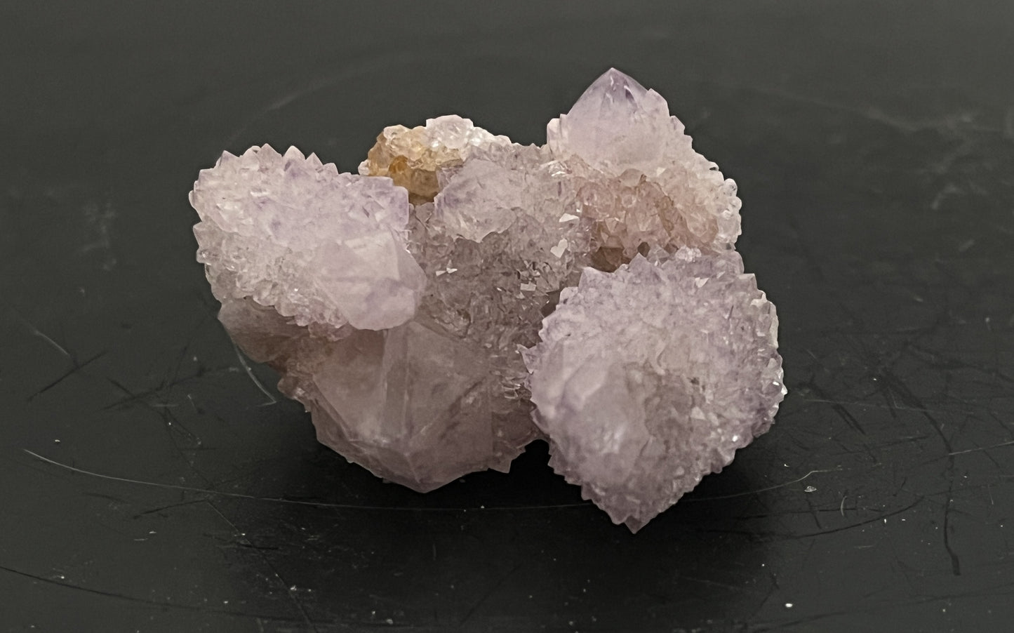 Cactus Amethyst 008