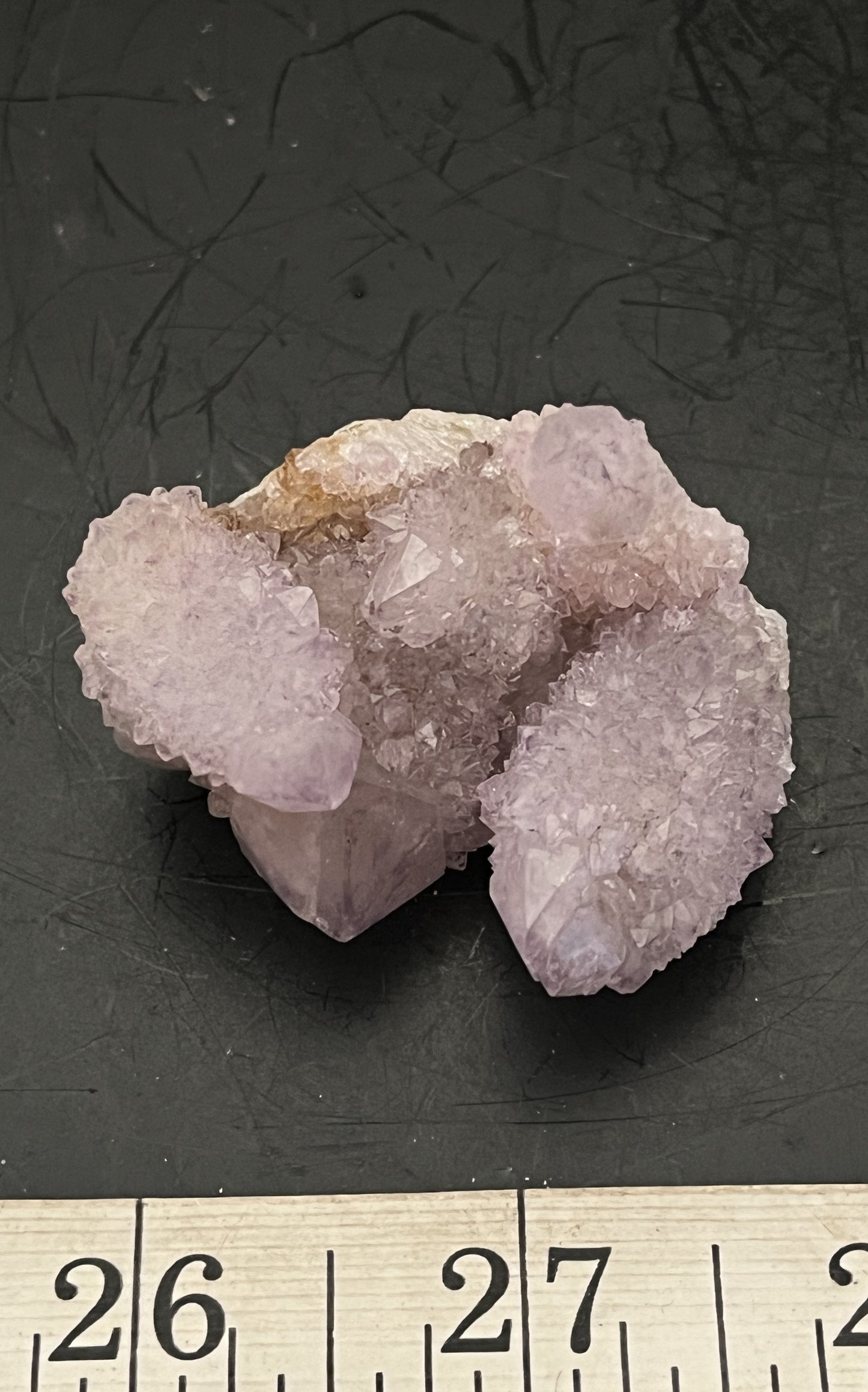 Cactus Amethyst 008