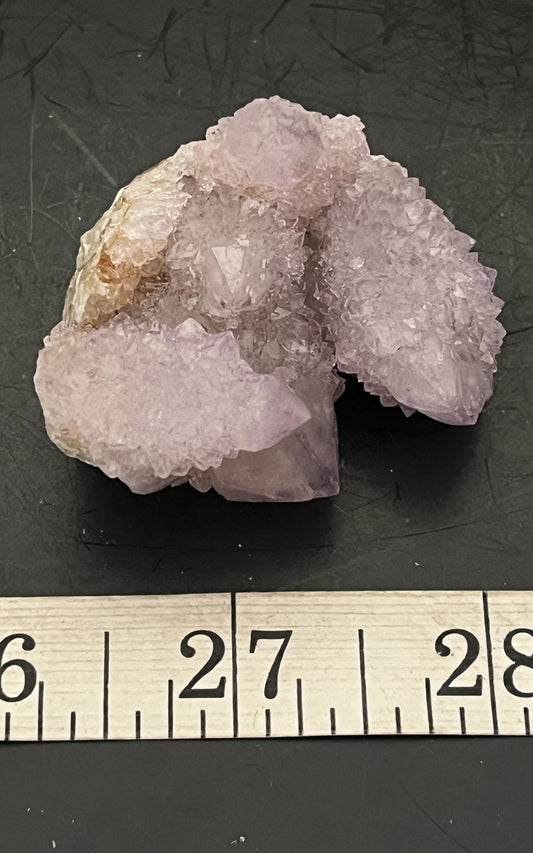 Cactus Amethyst 008
