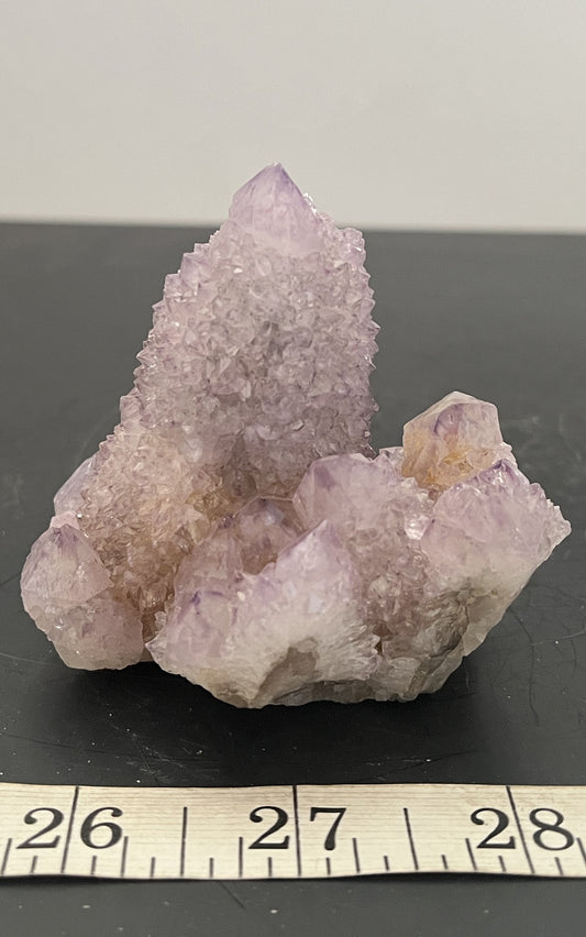 Cactus Amethyst 011