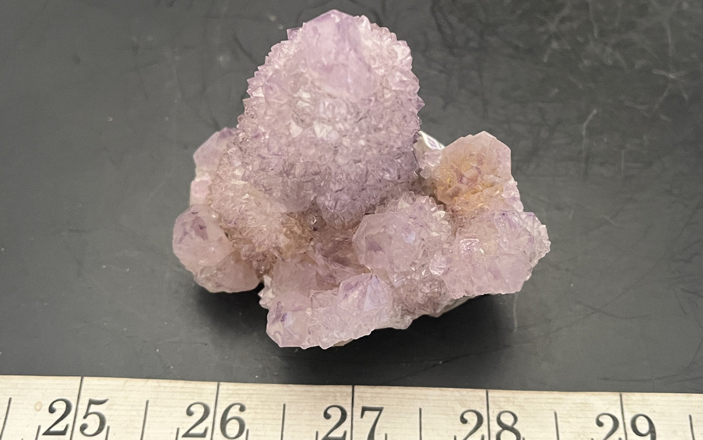 Cactus Amethyst 011