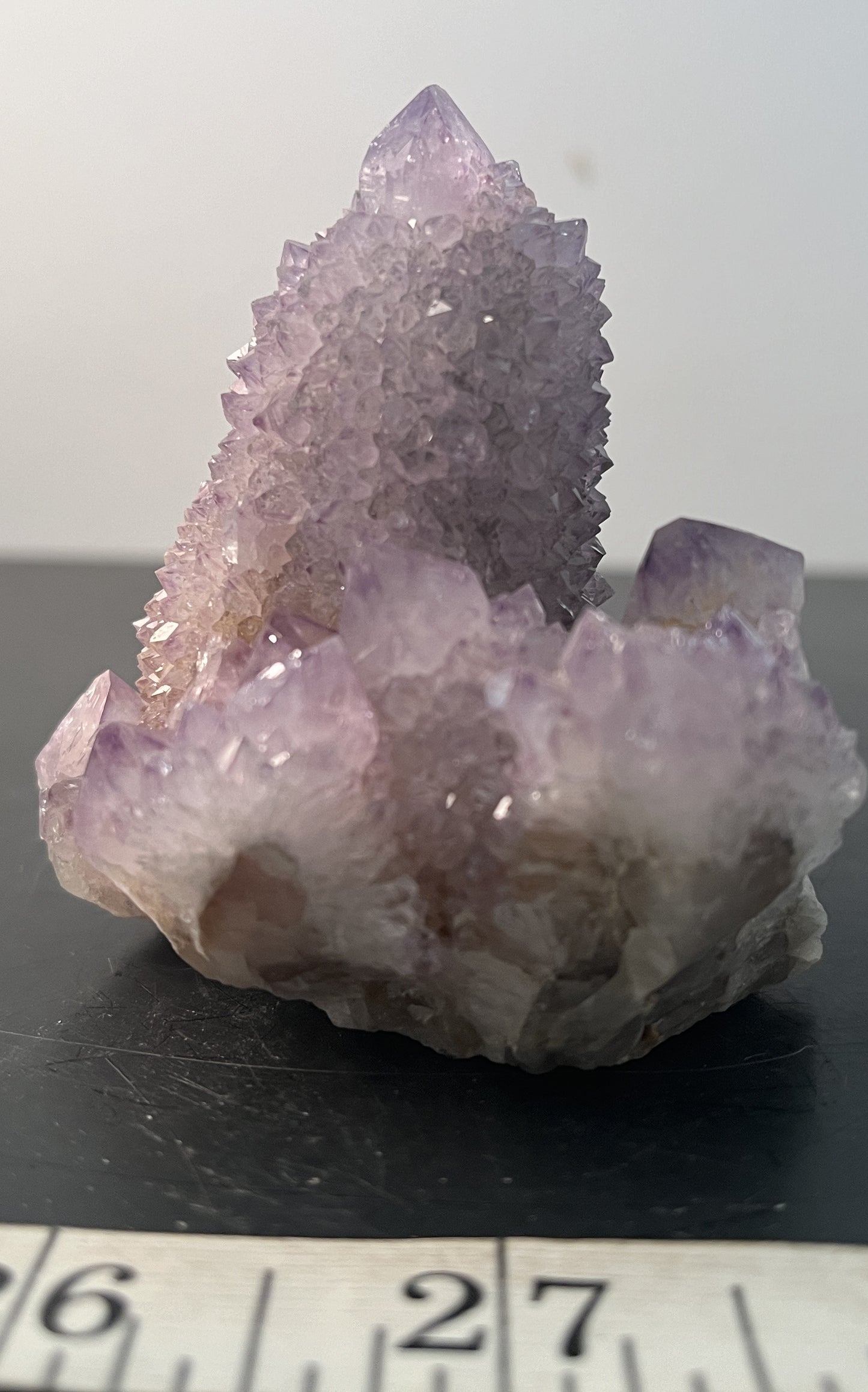 Cactus Amethyst 011