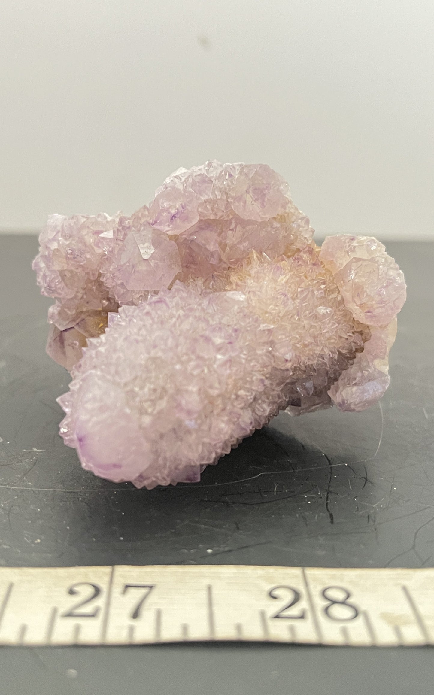 Cactus Amethyst 011