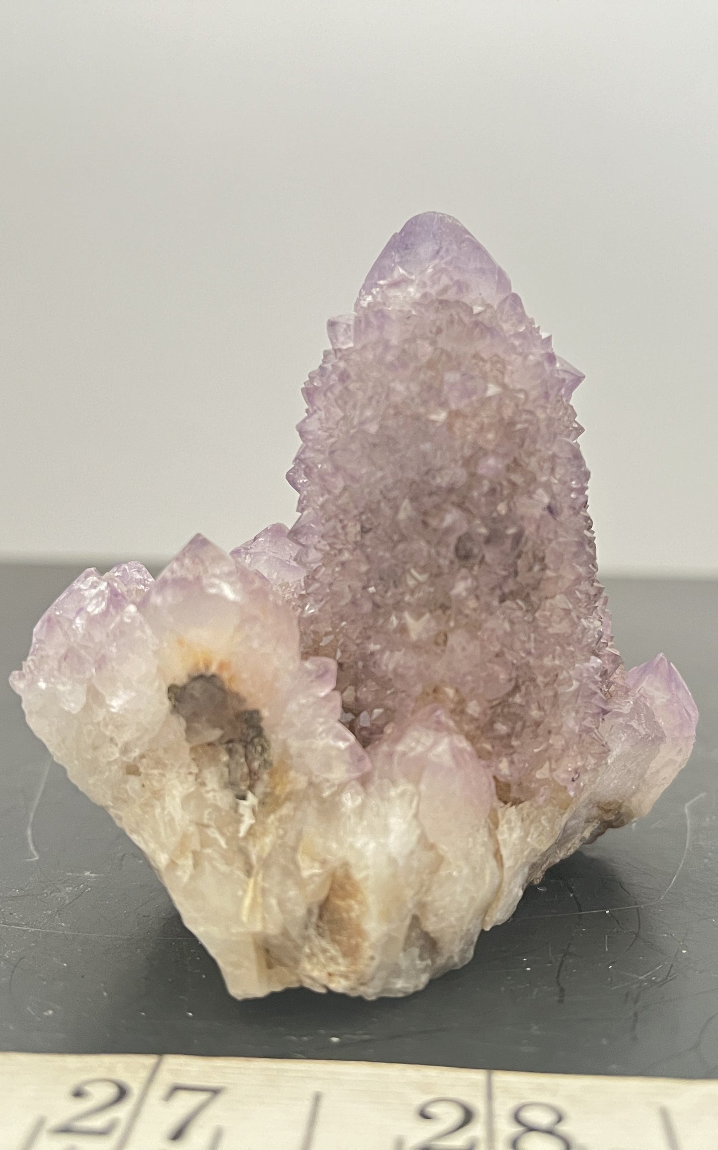 Cactus Amethyst 011