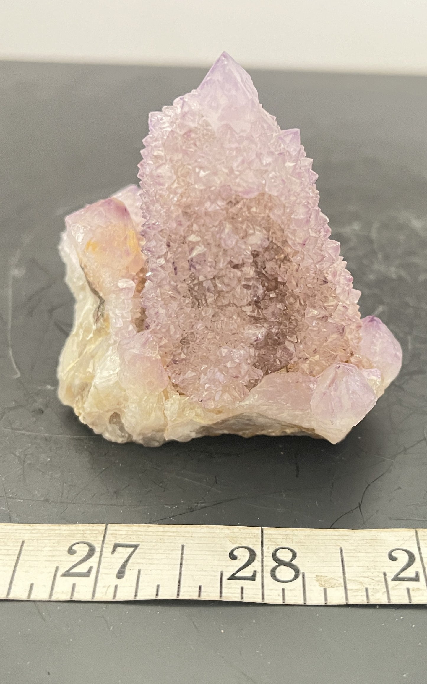 Cactus Amethyst 011