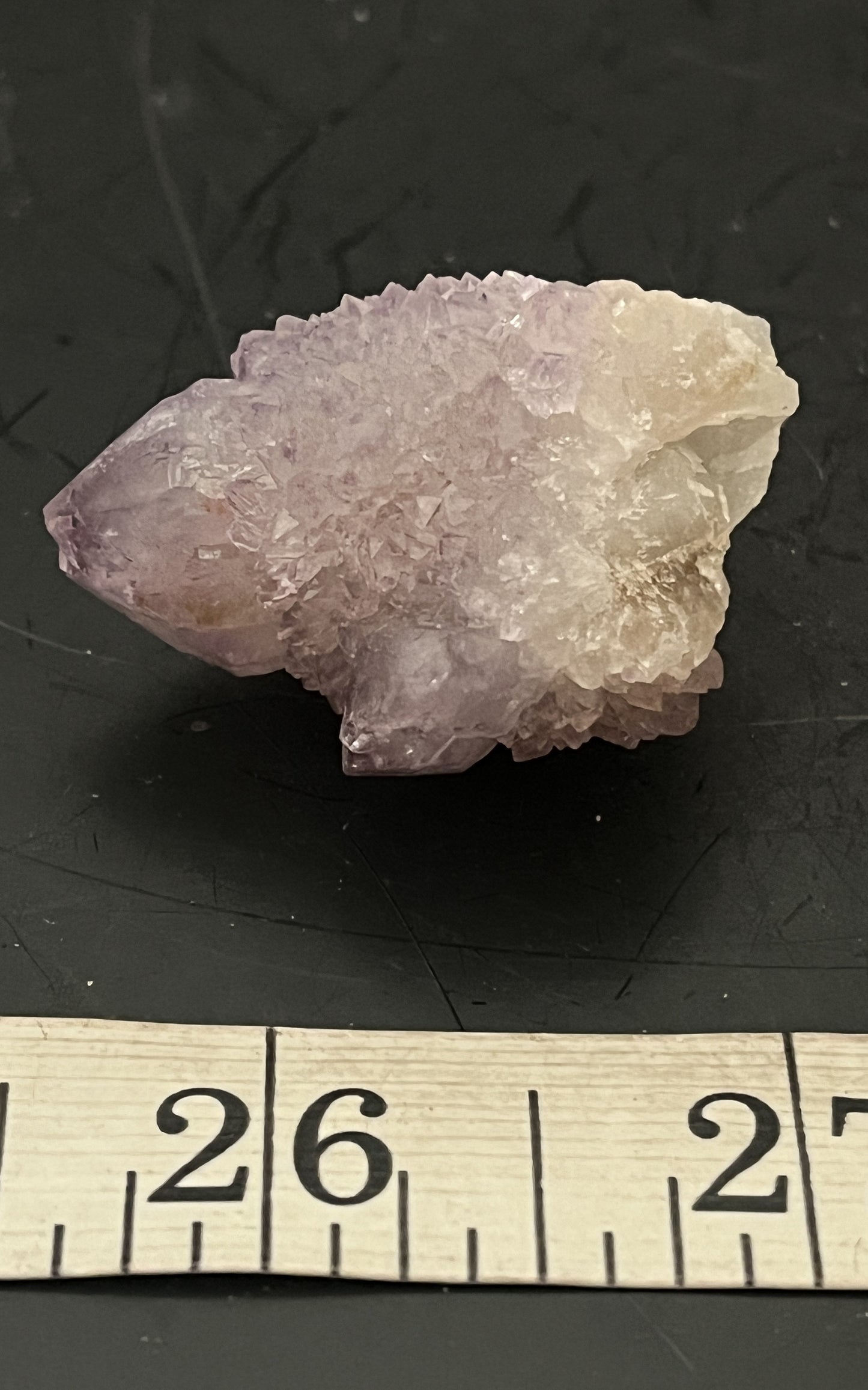 Cactus Amethyst 015