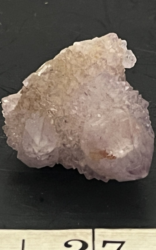 Cactus Amethyst 015