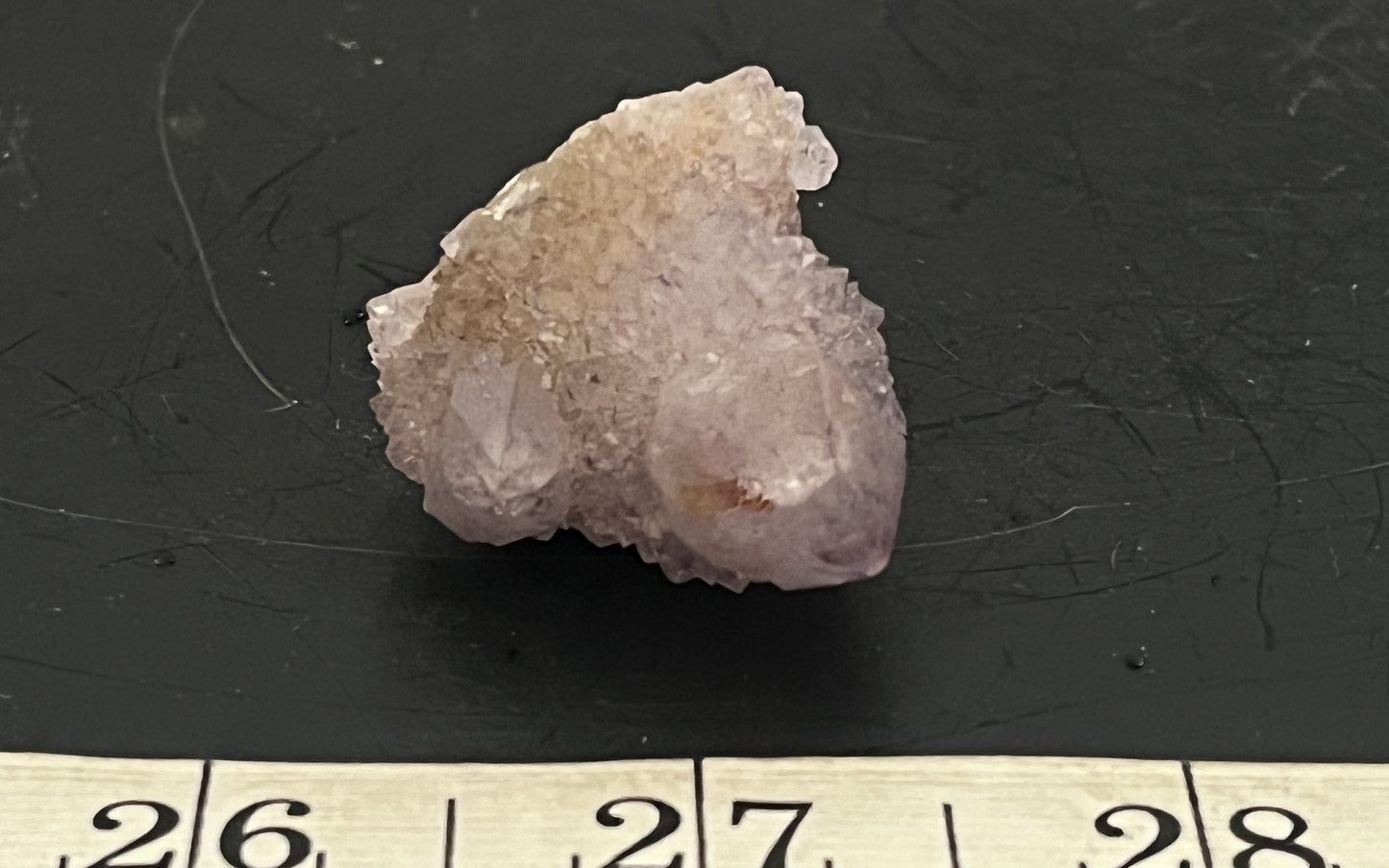 Cactus Amethyst 015