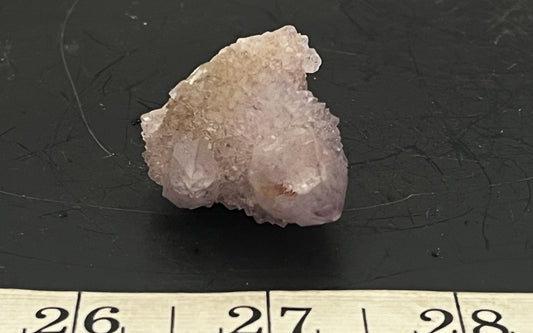 Cactus Amethyst 015