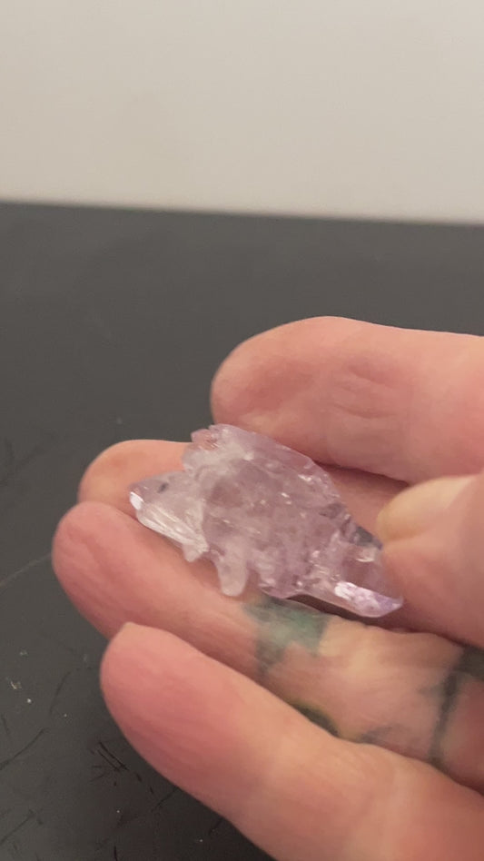 Vera Cruz Amethyst 007