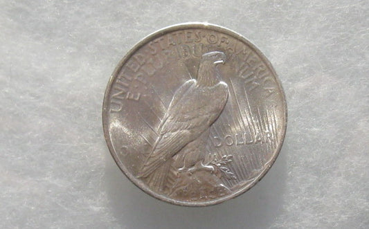 1922 Peace Dollar MS-65 | Of Coins & Crystals