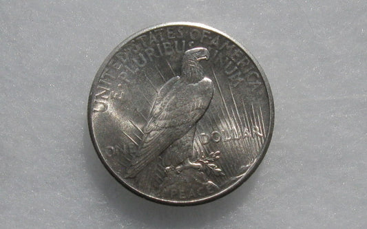 1926  Peace Dollar  MS-65 | Of Coins & Crystals