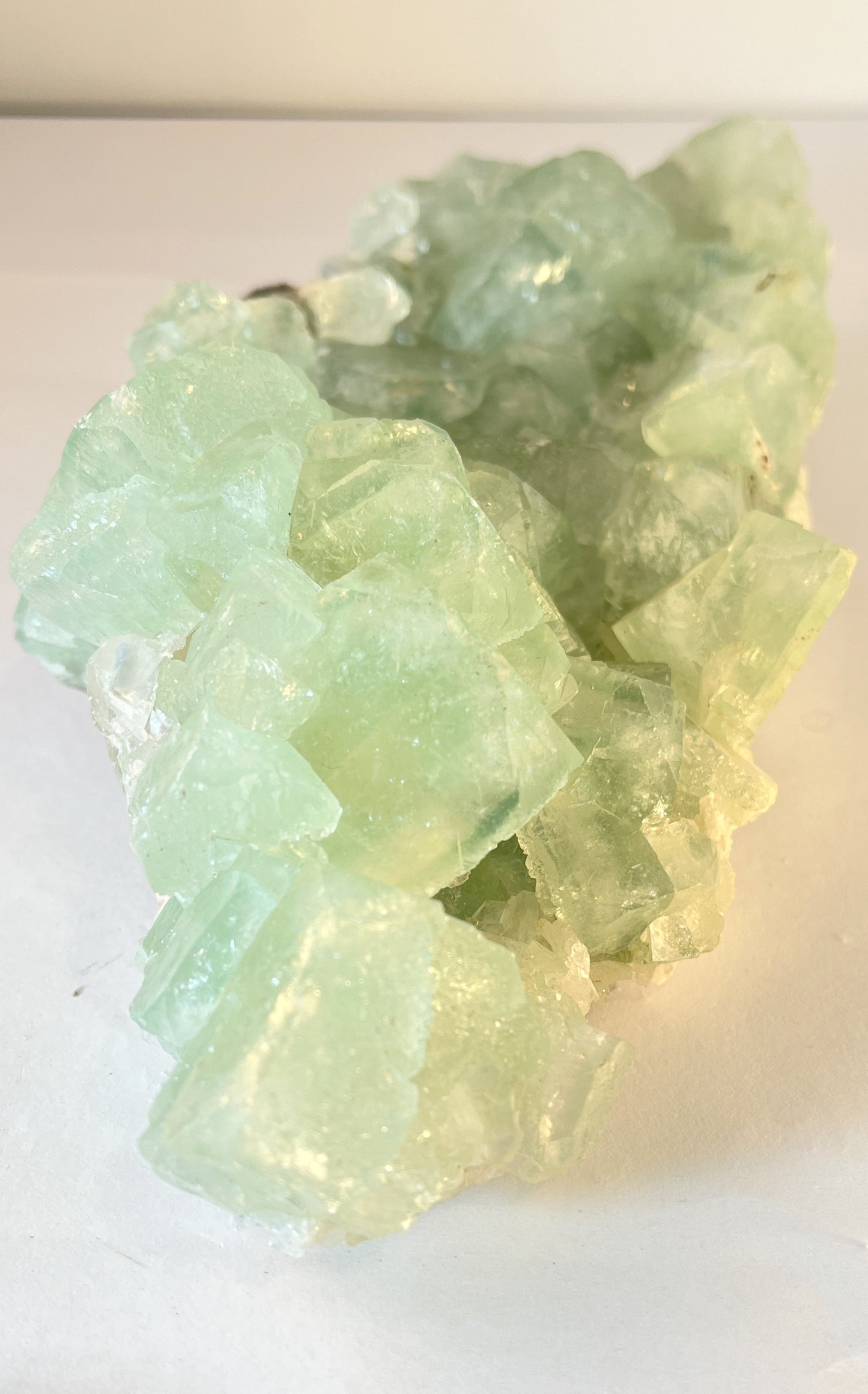 Green Apophyllite