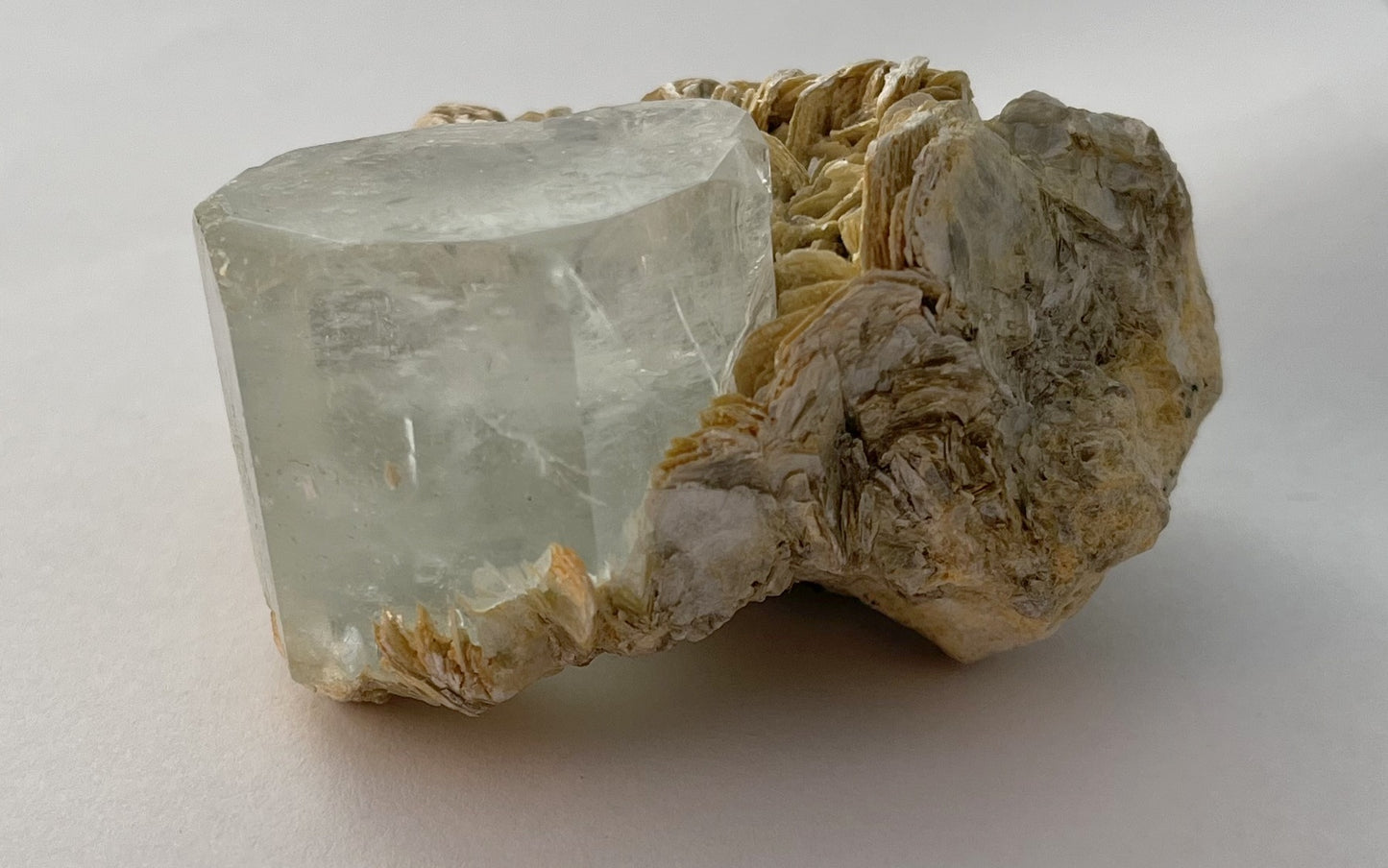 Aquamarine w/ Muscovite - Pakistan | Of Coins & Crystals