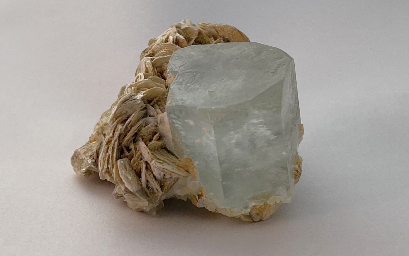 Aquamarine w/ Muscovite - Pakistan | Of Coins & Crystals