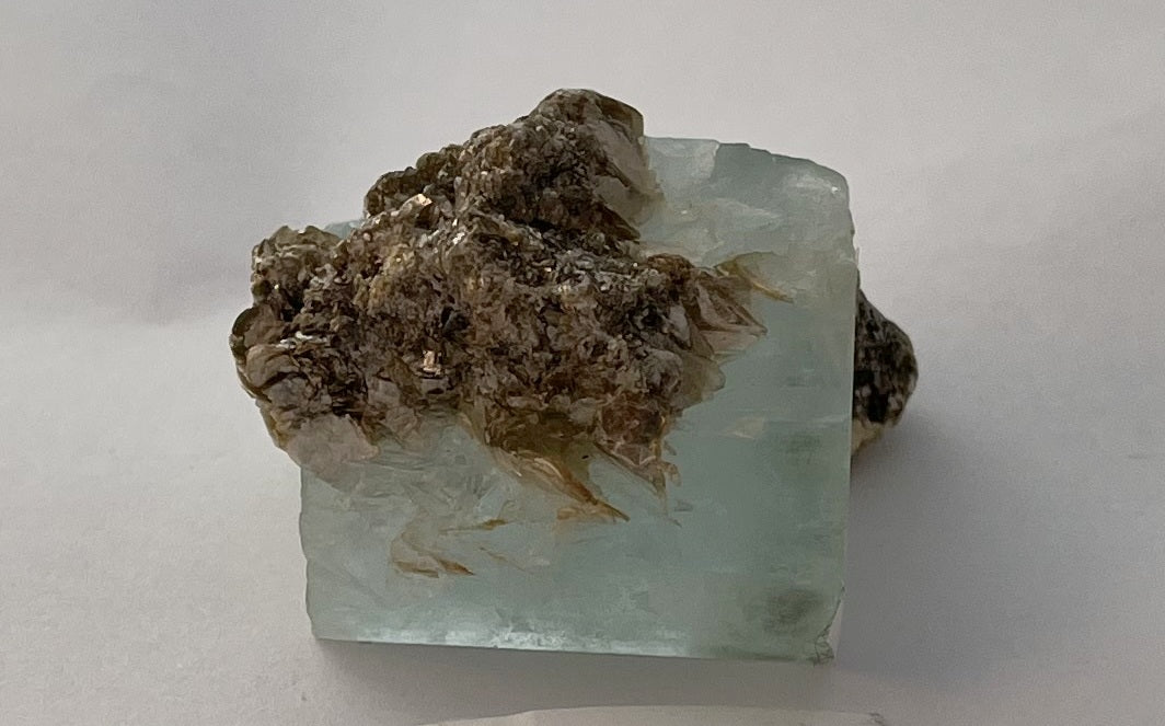 Aquarmarine w/ Muscovite 8 - Pakistan | Of Coins & Crystals