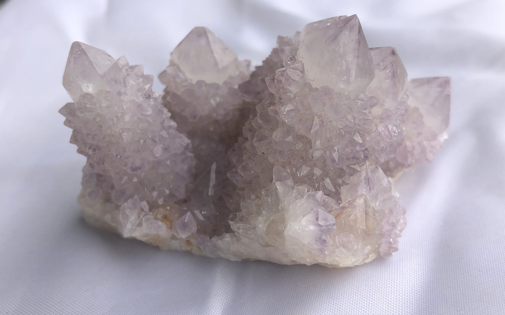 Cactus Amethyst - South Africa 400 | Of Coins & Crystals
