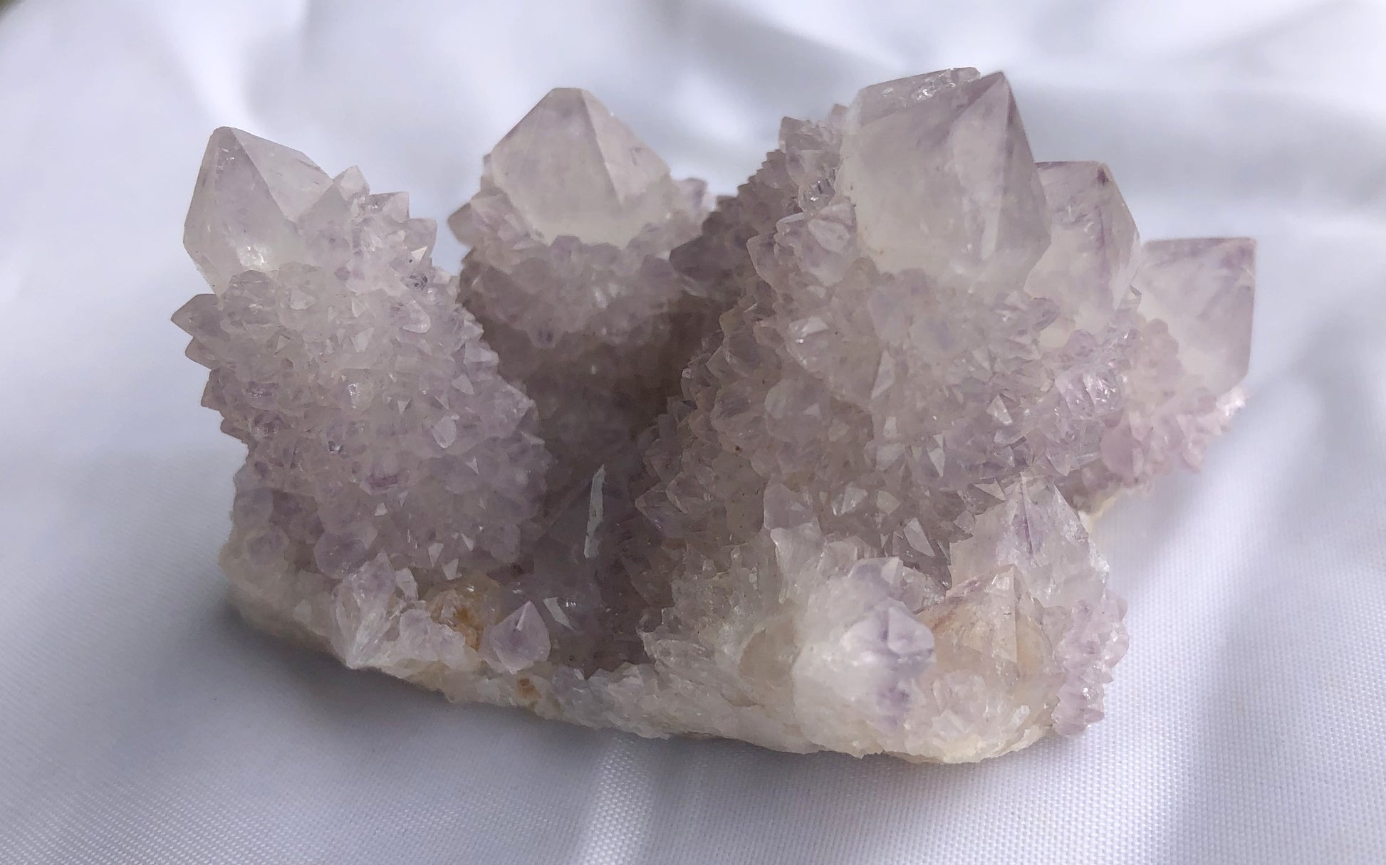 Cactus Amethyst - South Africa 400 | Of Coins & Crystals