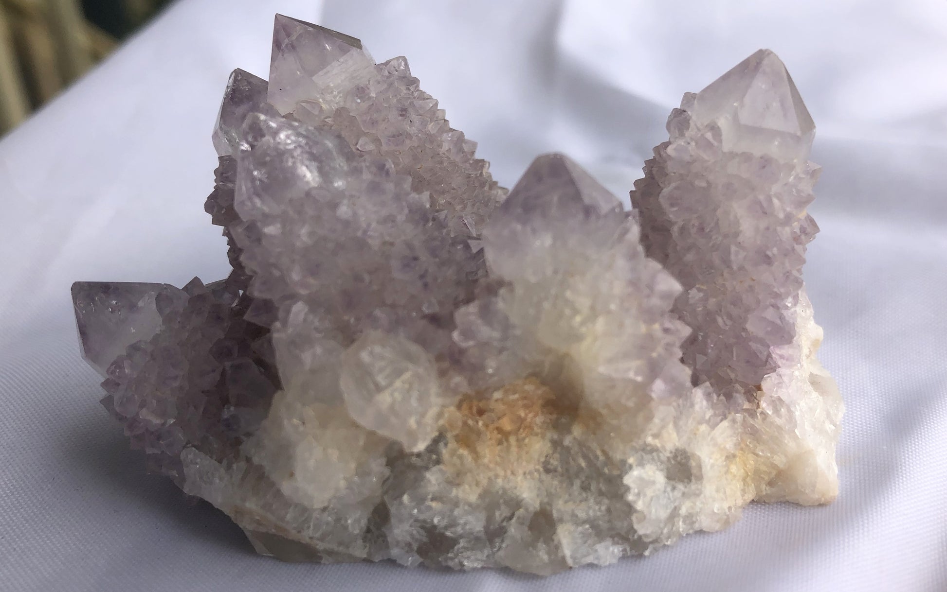 Cactus Amethyst - South Africa 400 | Of Coins & Crystals