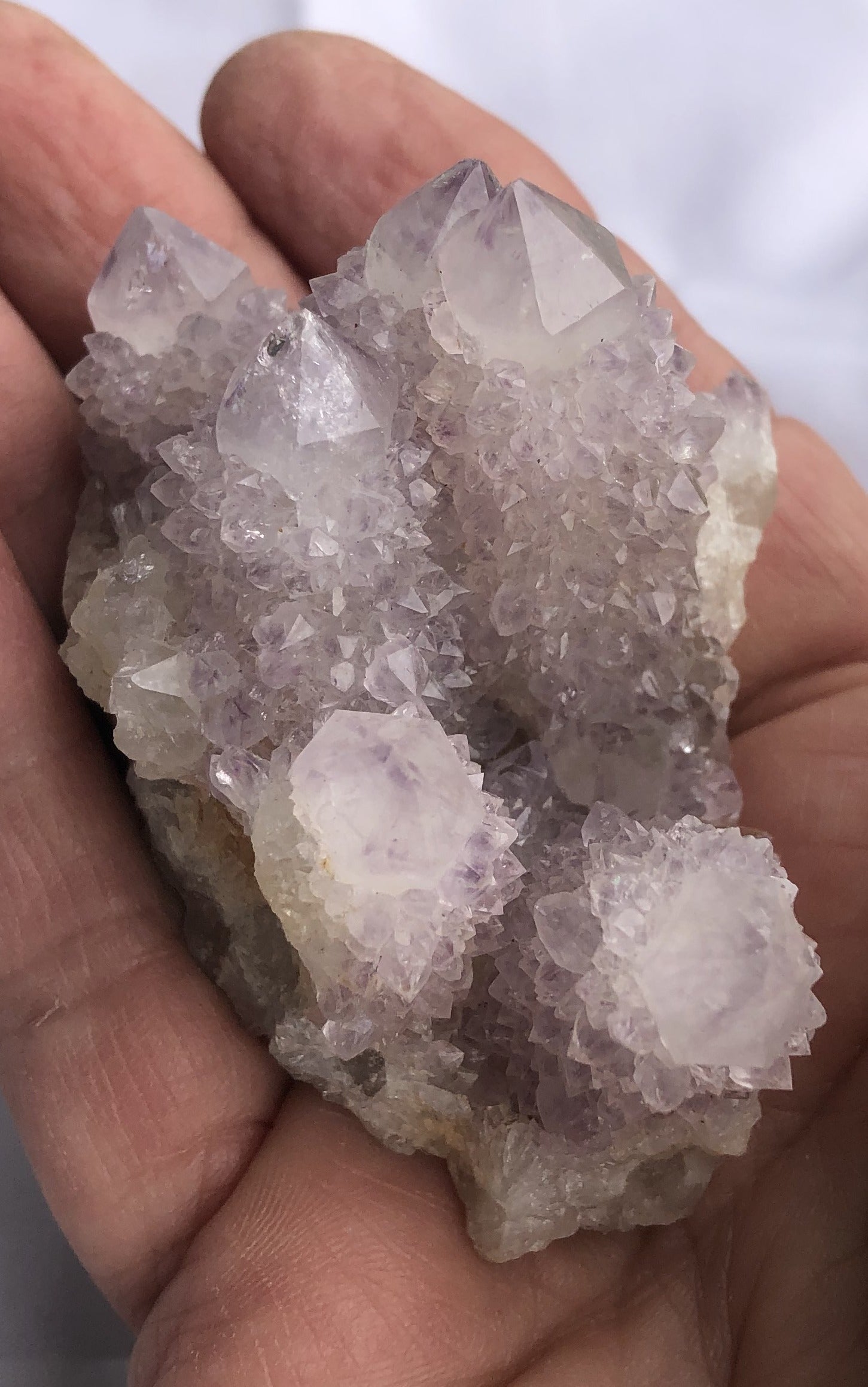 Cactus Amethyst - South Africa 400 | Of Coins & Crystals