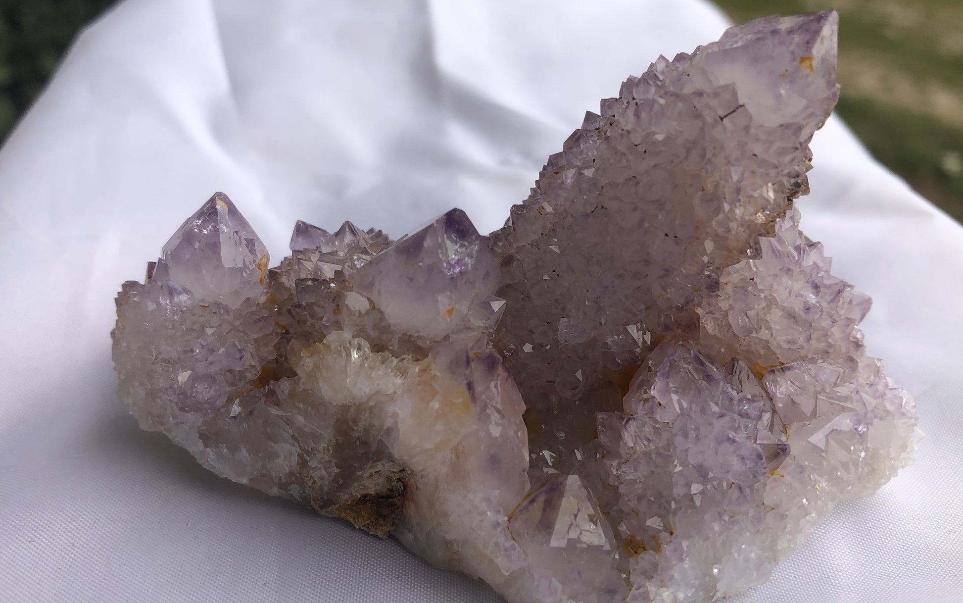 Cactus Amethyst - South Africa 402 | Of Coins & Crystals