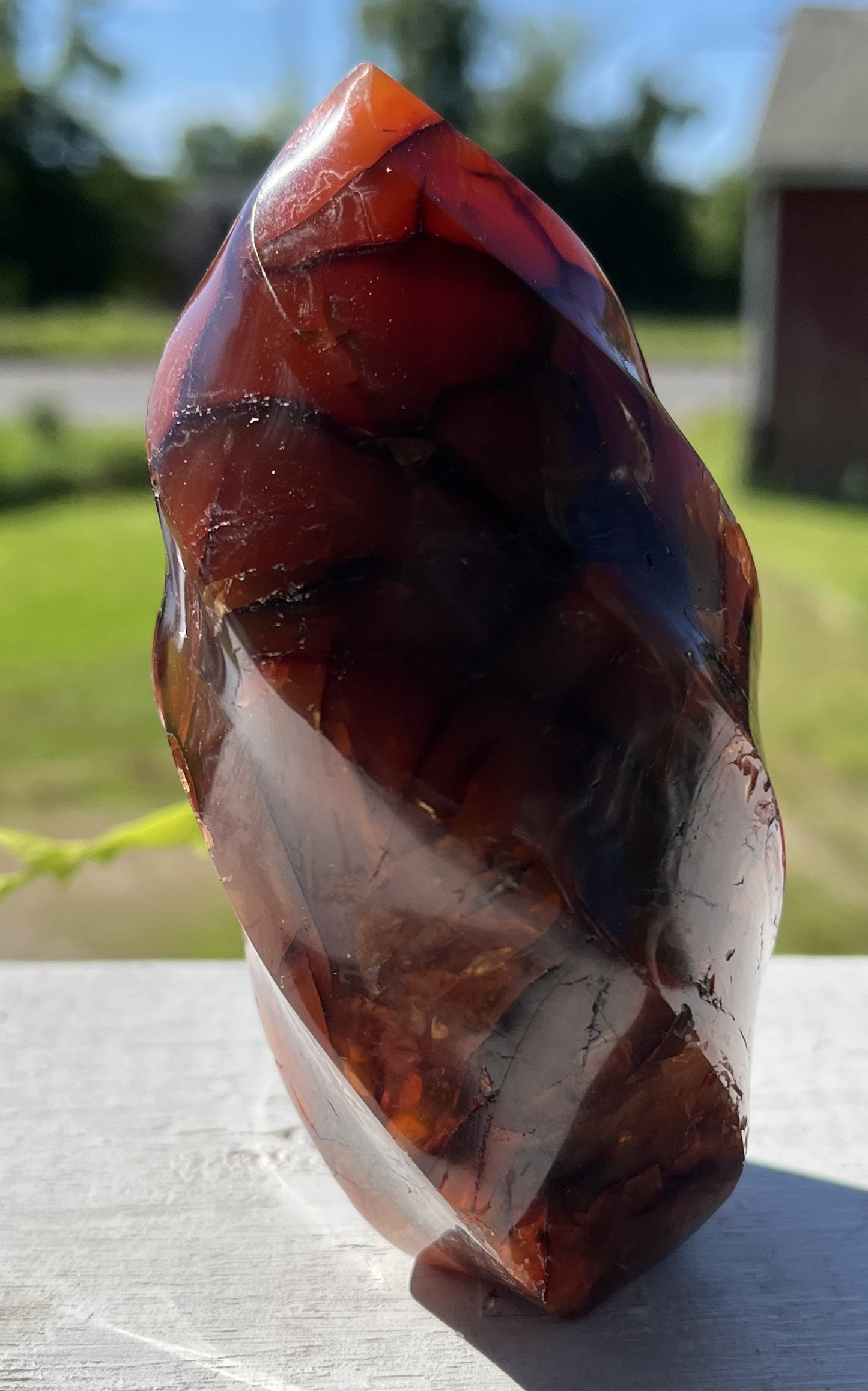 Carnelian flame 1