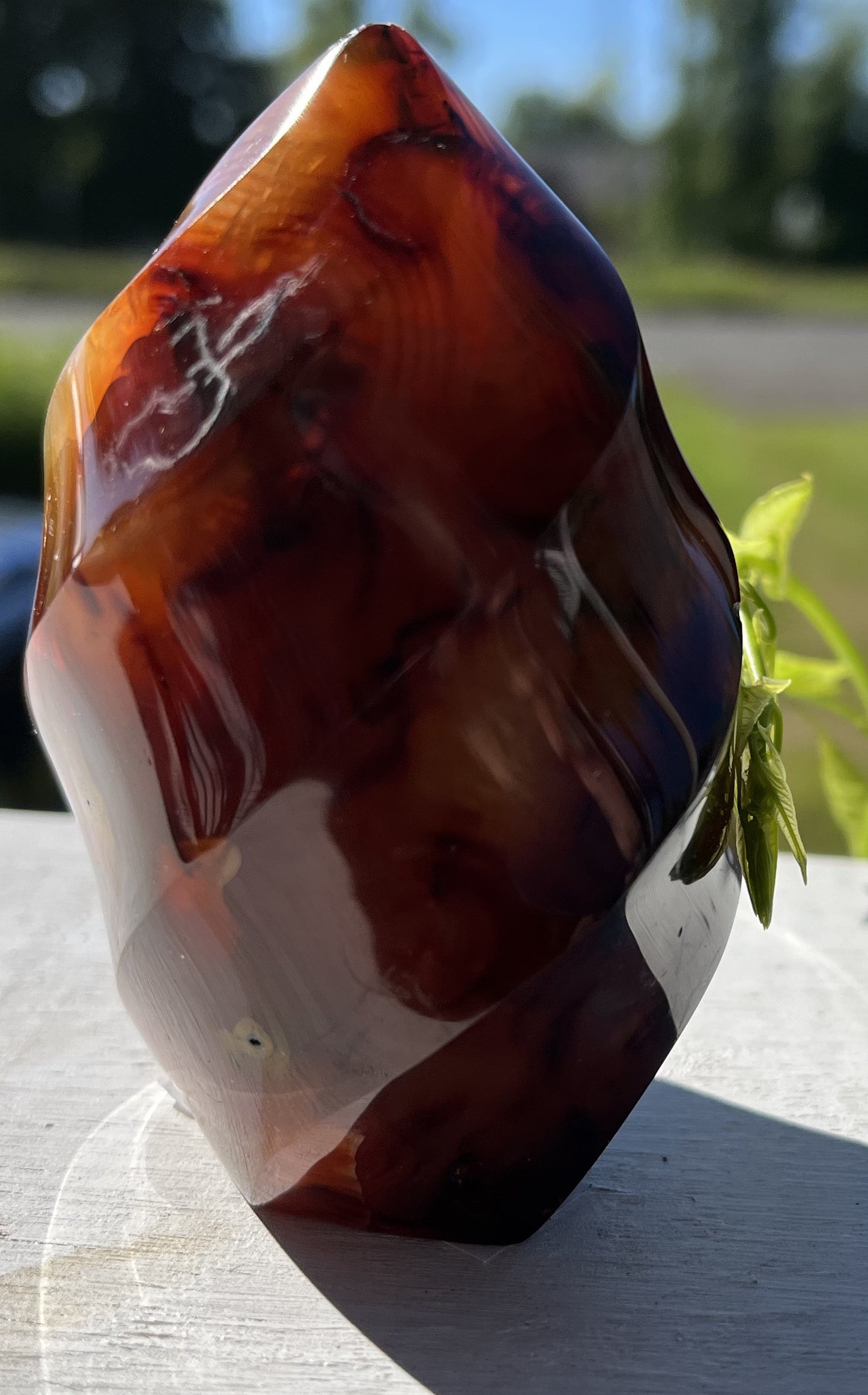 Carnelian flame 2