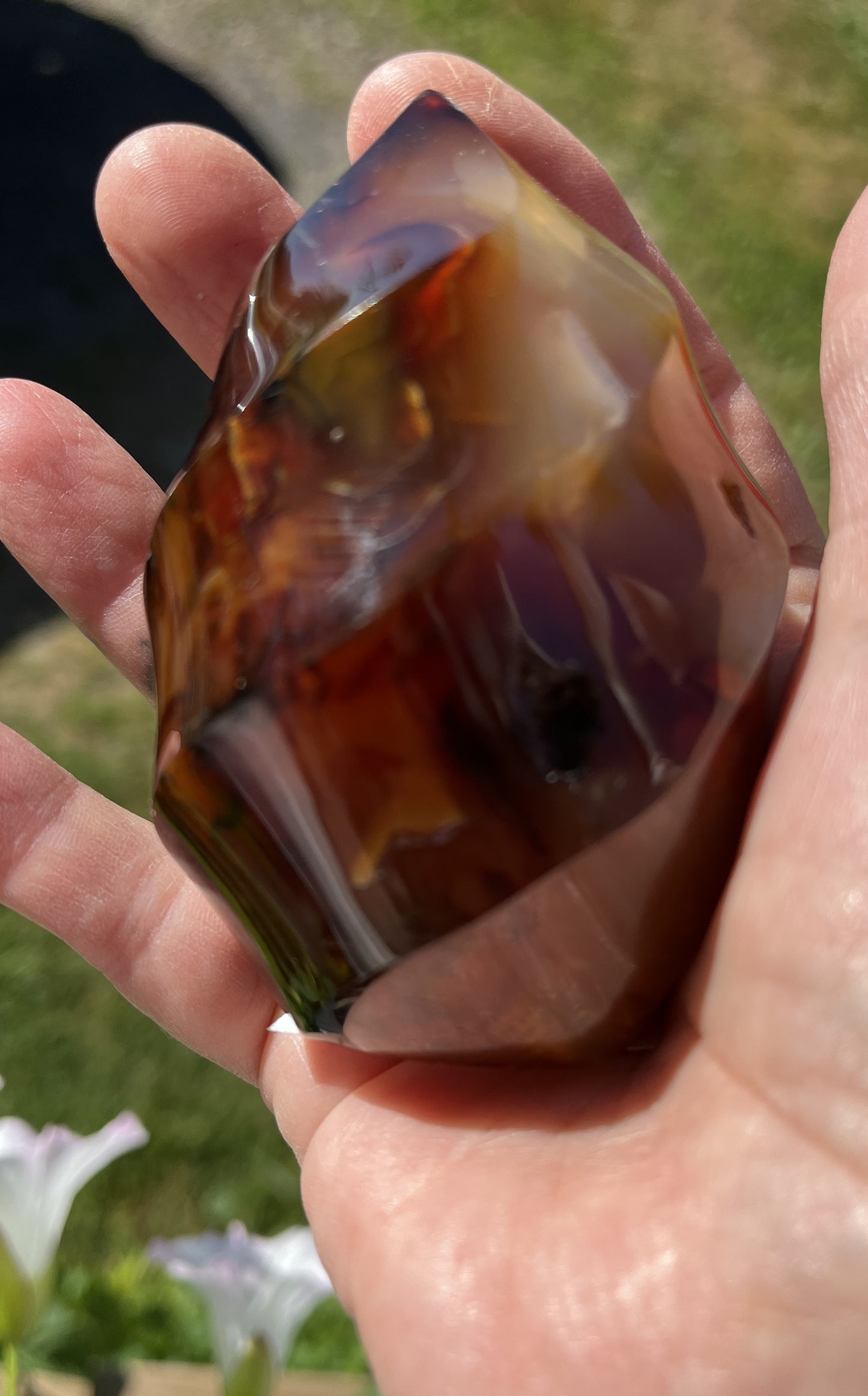 Carnelian flame 2
